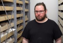 Naukowcy co rusz odkrywają nieznane dotąd wirusy z czasów prehistorycznych. Najstarsze pochodzą sprzed setek milionów lat i wciąż mogą zagrażać ludzkości