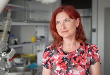 Mit o zanieczyszczonej rybie z Bałtyku dużym problemem dla polskich rybaków. Krajowe gatunki trafiają do Europy Zachodniej, a Polacy wciąż się ich obawiają