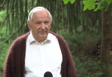 S. Gomułka: Zejście inflacji do poziomu 3,5 proc. w 2024 roku pod znakiem zapytania. Ten termin może się przesunąć o rok czy dwa lata